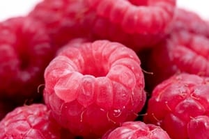 Do Raspberry Ketones Really Help You Lose Weight?
