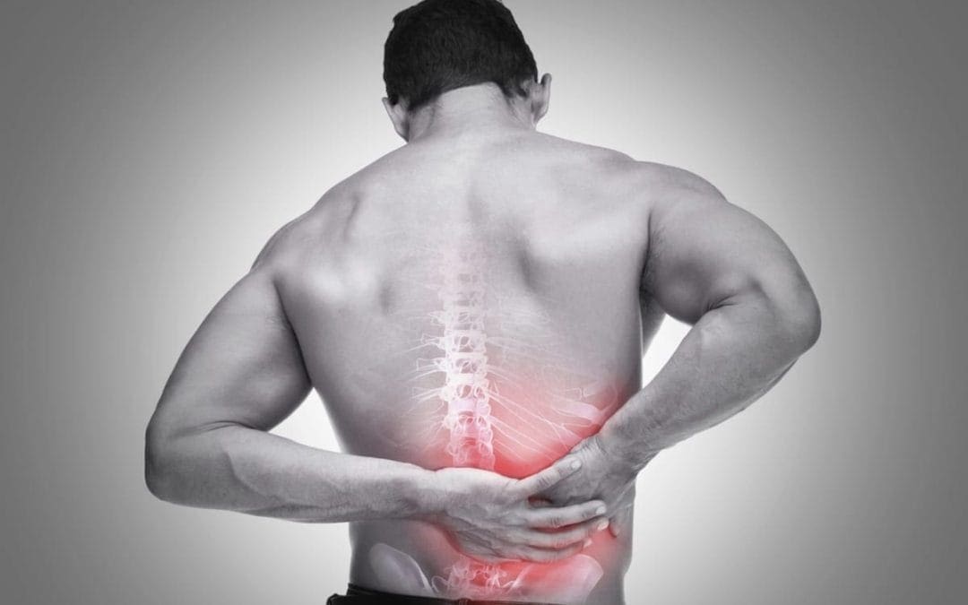 Chiropractic Adjustments For Your Back Pain