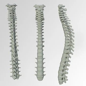 chiropractor postpartum back pain